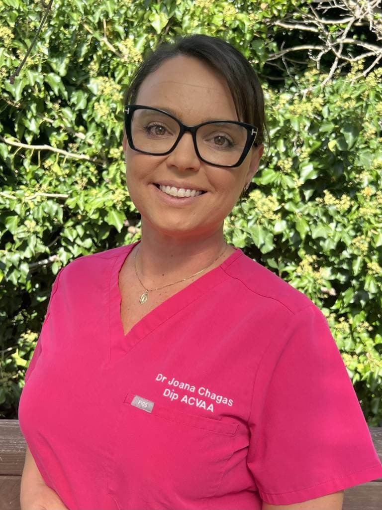 Dr Joana Chagas, board-certified veterinary anaesthesiologist
